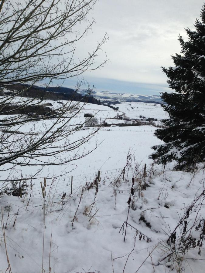 Northlees Farm Bed & Breakfast Perth Bagian luar foto